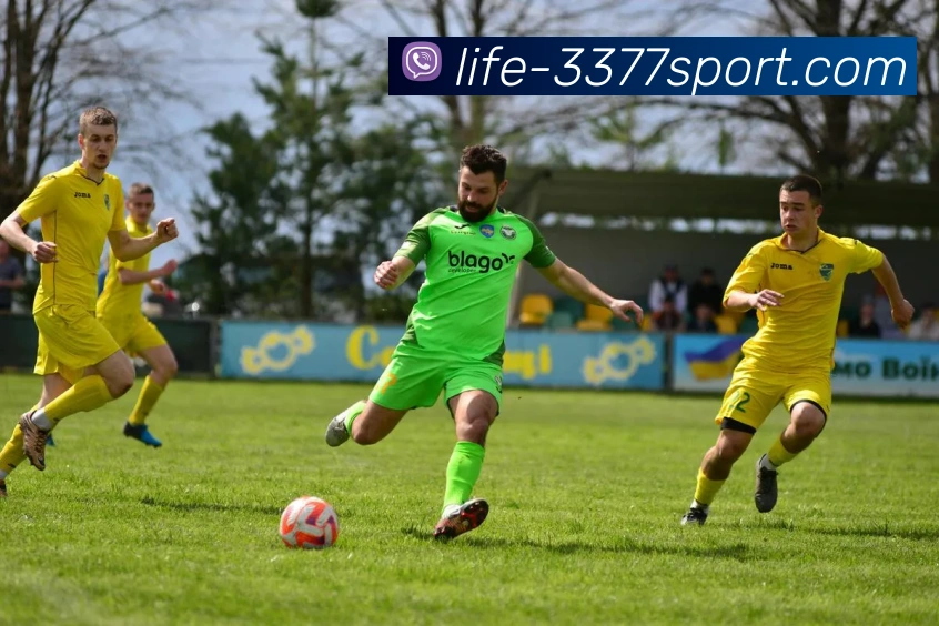 3377体育官网服务体系